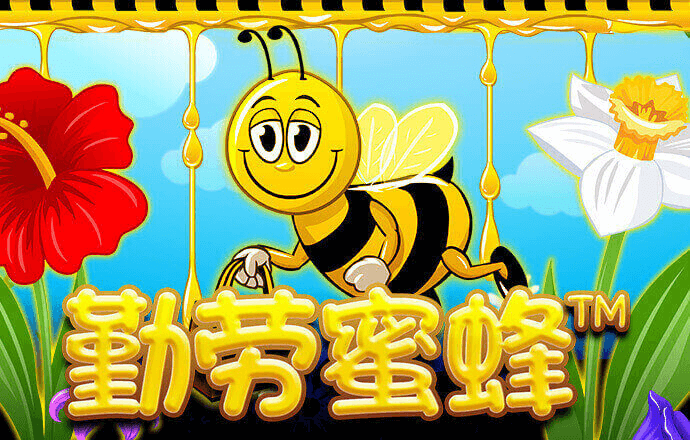 c7登录入口